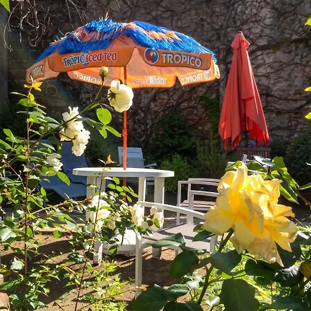 A 20 M² Avec Jardin Prive *